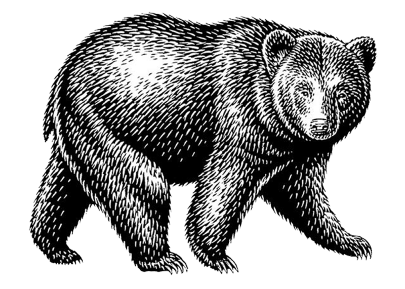 bear_woodcut_large